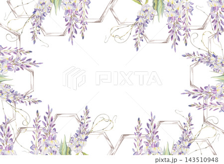 Purple wisteria blossoms, green leaves, plant tendrils, hexagon wooden trellis sections. Watercolor floral frame illustration hand drawn in crayon pencil. Event brand, wedding decor, logos, gift tags Purple wisteria blossoms, green leaves, plant tendrils, hexagon wooden trellis sections. Watercolor floral frame illustration hand drawn in crayon pencil. Event brand, wedding decor, logos, gift tags 143510948
