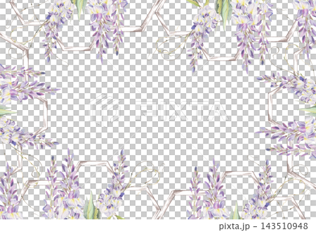 Purple wisteria blossoms, green leaves, plant tendrils, hexagon wooden trellis sections. Watercolor floral frame illustration hand drawn in crayon pencil. Event brand, wedding decor, logos, gift tags Purple wisteria blossoms, green leaves, plant tendrils, hexagon wooden trellis sections. Watercolor floral frame illustration hand drawn in crayon pencil. Event brand, wedding decor, logos, gift tags 143510948