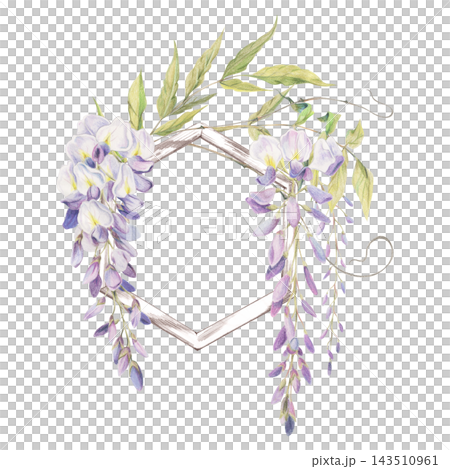 Wisteria blossoms draping decorative wooden hexagonal trellis section. Watercolor illustration hand drawn in crayon pencil. Landscape planning, floral stationery, seed packet designs, herbal products 143510961