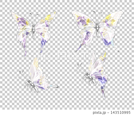Elegant machaon, monarch butterfly, swallowtail moth, detailed wings, natural history style. Watercolor illustration hand drawn in crayon pencil. Scrapbook projects, botanical guides, nursery catalogs Elegant machaon, monarch butterfly, swallowtail moth, detailed wings, natural history style. Watercolor illustration hand drawn in crayon pencil. Scrapbook projects, botanical guides, nursery catalogs 143510995