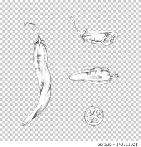 Chili pepper spicy capsicum fruit, jalapeno or cayenne full, half and slice. Hand drawn pencil illustration, natural graphite shading. World cuisine, gardening manuals, crop identification resources Chili pepper spicy capsicum fruit, jalapeno or cayenne full, half and slice. Hand drawn pencil illustration, natural graphite shading. World cuisine, gardening manuals, crop identification resources 143511021