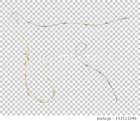 Delicate climbing plant tendrils, graceful spiral shapes, natural arabesque. Watercolor hand drawn crayon pencil illustration. Botanical design elements, garden graphics, decorative borders, dividers Delicate climbing plant tendrils, graceful spiral shapes, natural arabesque. Watercolor hand drawn crayon pencil illustration. Botanical design elements, garden graphics, decorative borders, dividers 143511046