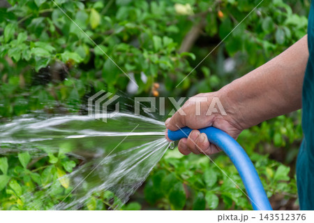 A hand grips blue garden hose while several streams of water spray outward toward green plants showing close outdoor view of watering droplets soft leafy background detail A hand grips blue garden hose while several streams of water spray outward toward green plants showing close outdoor view of watering droplets soft leafy background detail 143512376