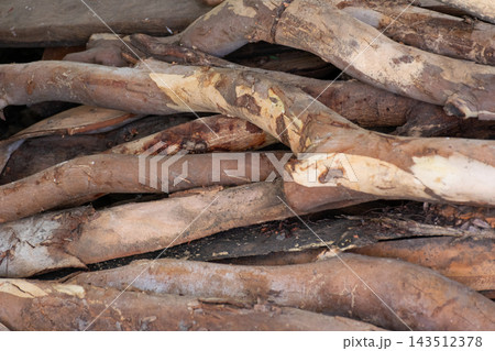 A pile of wooden branches logs fills the frame peeling bark pale exposed wood irregular curves layered overlapping forms showing natural timber textures close detailed view 143512378