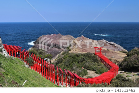 長門市 元乃隅神社 青い日本海と朱色の鳥居のコントラスト 長門市 元乃隅神社 青い日本海と朱色の鳥居のコントラスト 143512462
