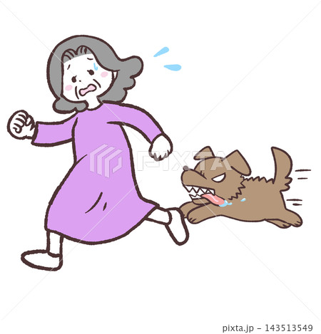 犬に追われるシニア女性のイラスト 犬に追われるシニア女性のイラスト 143513549