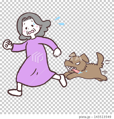 犬に追われるシニア女性のイラスト 犬に追われるシニア女性のイラスト 143513549