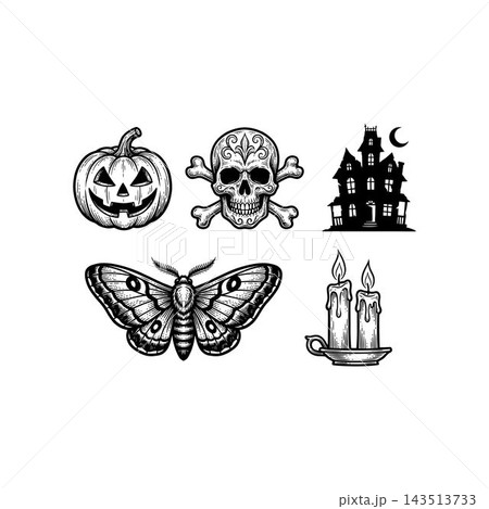 Set of Hand Drawn Halloween Icons and Gothic Elements. 143513733