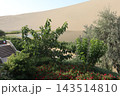 中国敦煌の鳴沙山の風景 143514810