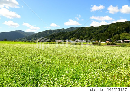 釜石線とそばの花 釜石線とそばの花 143515127