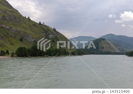 Katun River flowing through scenic green mountain slopes under overcast sky Katun River flowing through scenic green mountain slopes under overcast sky 143515400