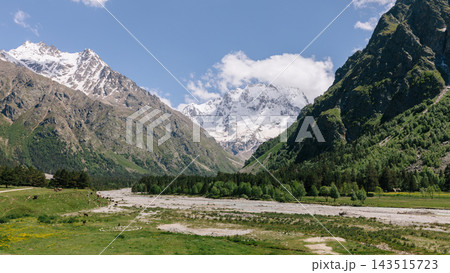 Majestic snowy peaks above the lush green alpine meadows of Ullu Tau valley 143515723