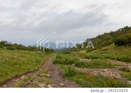 Hiking trail leading through green hills in Vachkazhets mountain range 143515878