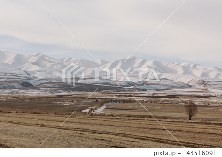 Snow covered mountain range and rural agricultural fields in winter Snow covered mountain range and rural agricultural fields in winter 143516091