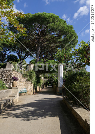 Covered Walk of Villa Cimbrone Gardens in Ravello Italy Covered Walk of Villa Cimbrone Gardens in Ravello Italy 143517077