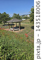 Cozy wooden gazebo in garden backyard landscape 143518006