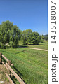 Scenic country road along green fields and lush trees 143518007