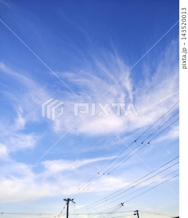 青空に羽のように渦巻く美しい薄雲と電線の躍動感ある背景素材 青空に羽のように渦巻く美しい薄雲と電線の躍動感ある背景素材 143520013