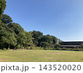 日本の東京にある芝生と木々が広がる晴れた日の公共の緑豊かな公園 143520020