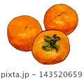 カキ 143520659
