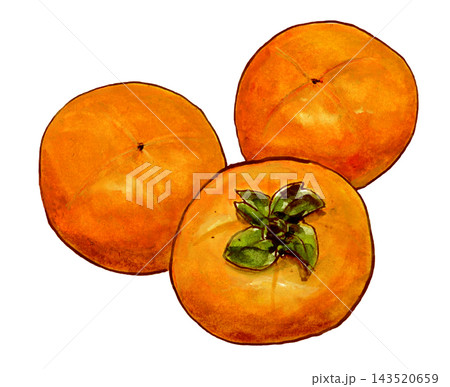 カキ カキ 143520659