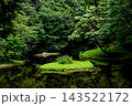 森の中の池の風景 143522172