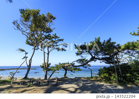 一色海岸の秋 一色海岸の秋 143522204