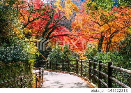 path with colorful autumn leaves at Minoh waterfall park, Osaka path with colorful autumn leaves at Minoh waterfall park, Osaka 143522818