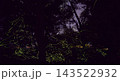 闇に浮かぶゲンジボタルの舞 143522932