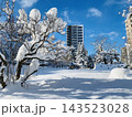 雪景色 143523028