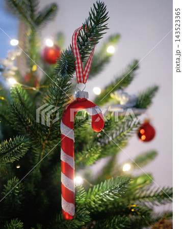 Red and White Candy Cane Christmas Ornament Hanging on Evergreen Tree with Festive Lights Red and White Candy Cane Christmas Ornament Hanging on Evergreen Tree with Festive Lights 143523365