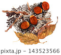 ドングリと落ち葉261010pix7 143523566