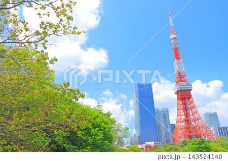 東京都港区、東京タワーと新緑の風景 143524140