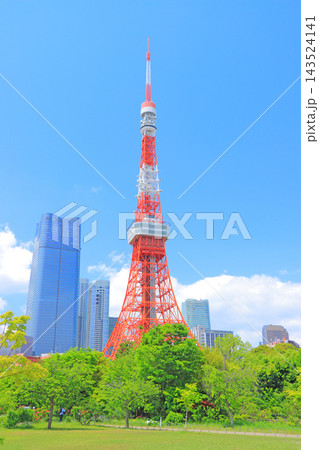 東京都港区、東京タワーと新緑の風景 143524141