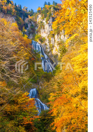 【北海道・天人峡】紅葉が見頃の天人峡 143525490