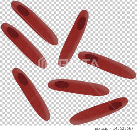 clostridium botulinum illustration clostridium botulinum illustration 143525567
