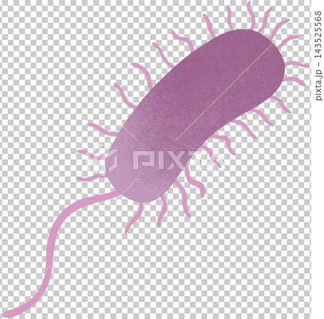 purple pseudomonas aeruginosa illustration purple pseudomonas aeruginosa illustration 143525568