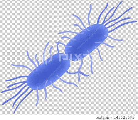 blue escherichia coli illustration blue escherichia coli illustration 143525573