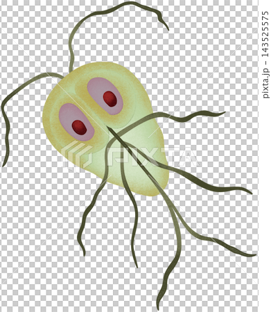 green giardia illustration green giardia illustration 143525575