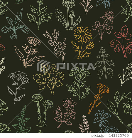 Herbal Plants Seamless Pattern, Botanical Outline Design on Dark Background Herbal Plants Seamless Pattern, Botanical Outline Design on Dark Background 143525769