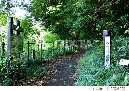 神奈川県茅ケ崎市　県立茅ヶ崎里山公園の谷の村北口と散策路 143526031