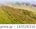 The slopes of a mountain are covered in green and red vegetation, crisscrossed by dark lines and obscured by fog. 143526316