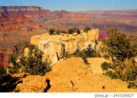Grand Canyon Arizona Grand Canyon Arizona 143526927