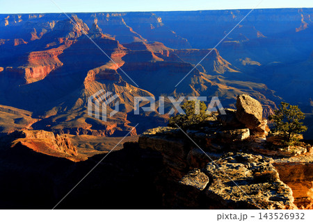 Grand Canyon Arizona 143526932