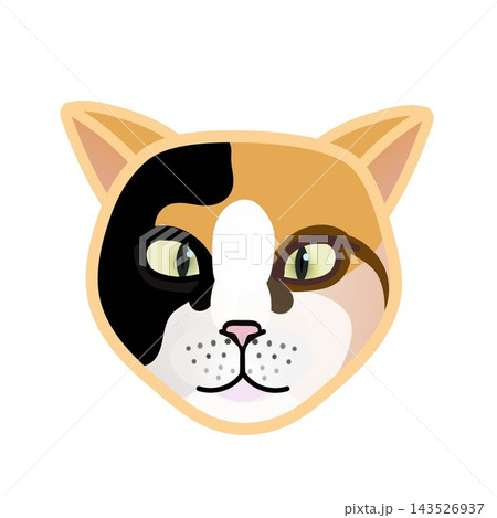 猫の顔イラスト 猫の顔イラスト 143526937