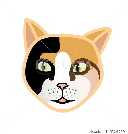 猫の顔イラスト 143526939
