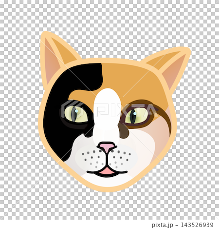 猫の顔イラスト 143526939