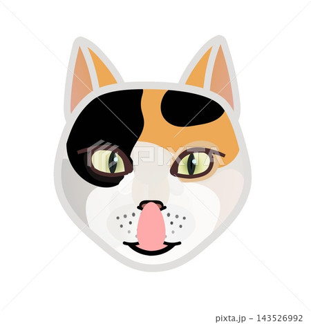 猫の顔イラスト 143526992