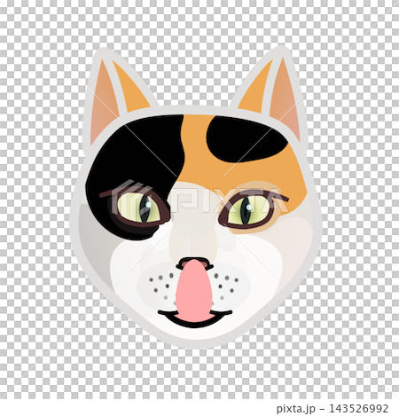 猫の顔イラスト 143526992