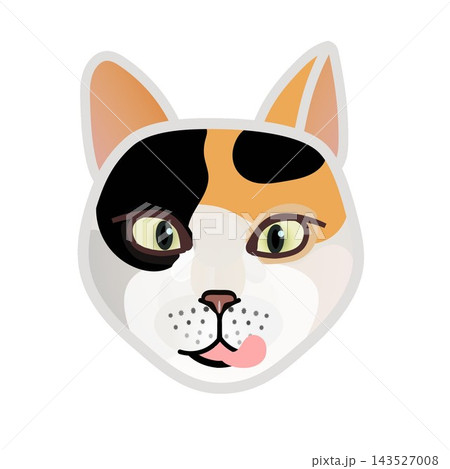 猫の顔イラスト 143527008